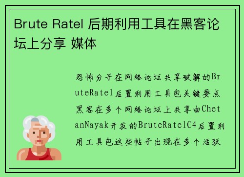 Brute Ratel 后期利用工具在黑客论坛上分享 媒体