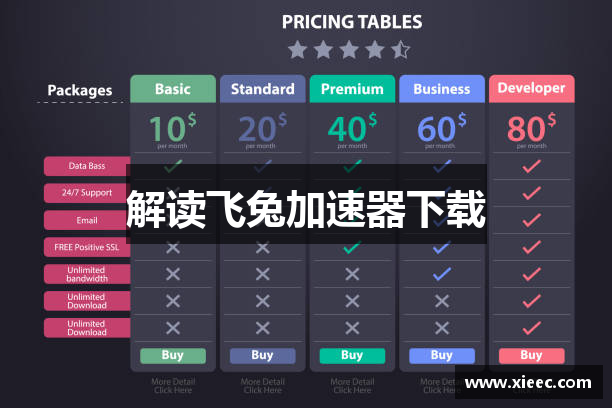解读飞兔加速器下载